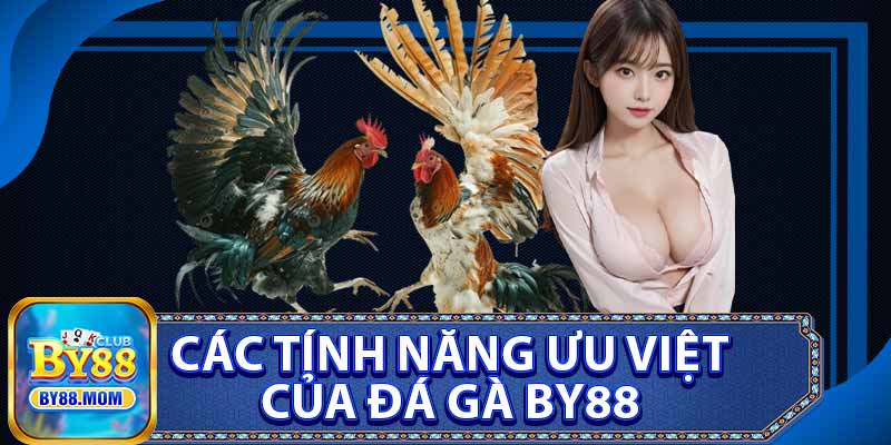 Các Tính Năng Ưu Việt Của Đá Gà BY88