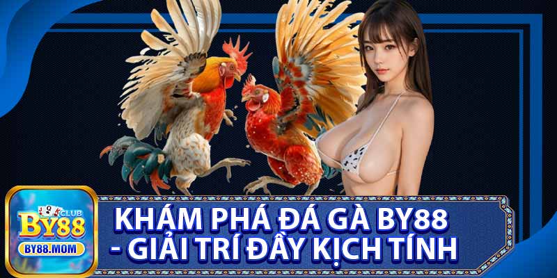 Khám Phá Đá Gà BY88 - Giải Trí Đầy Kịch Tính